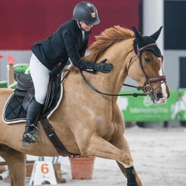 Cavalière