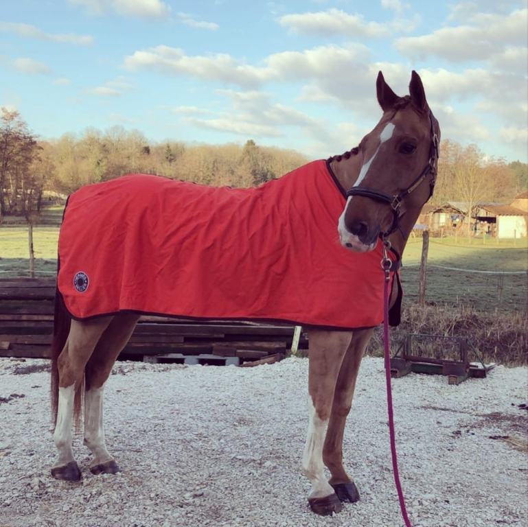 Cheval