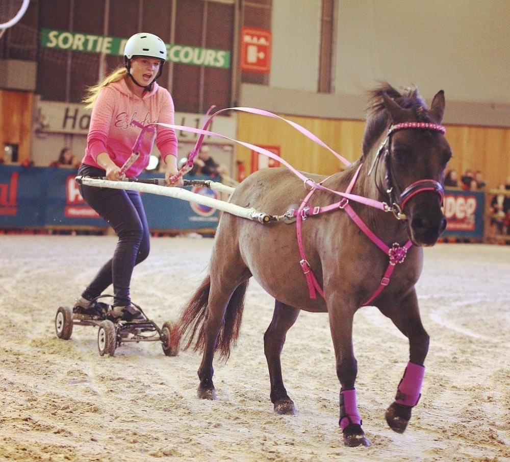 Poney