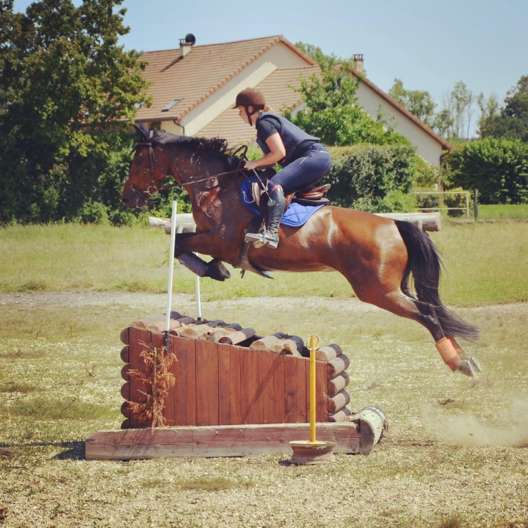 Saut